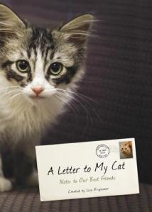 a letter to my cat